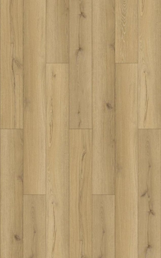 Fiji Plank DB Ono